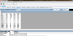N14 600HP and 625HP Caltterm Flash File include Screen File - Image 2