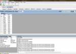 N14 600HP and 625HP Caltterm Flash File include Screen File - Image 6